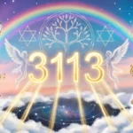3113 Angel Number Meaning: Biblical, Spiritual & Life Guide (2026) 3113 angel number meaning