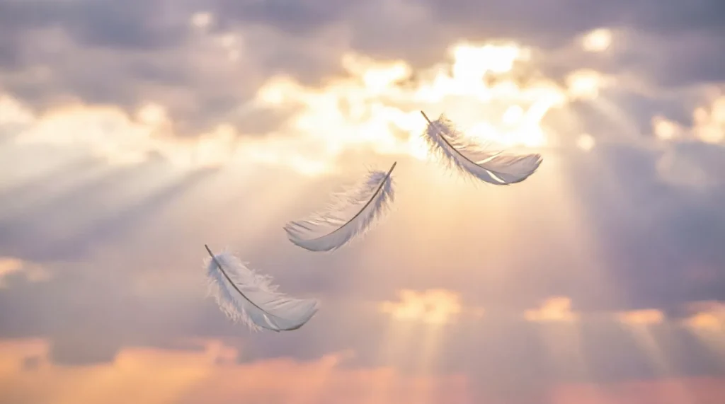 555 Angel Number Meaning: Biblical, Spiritual & Life Guide (2026)